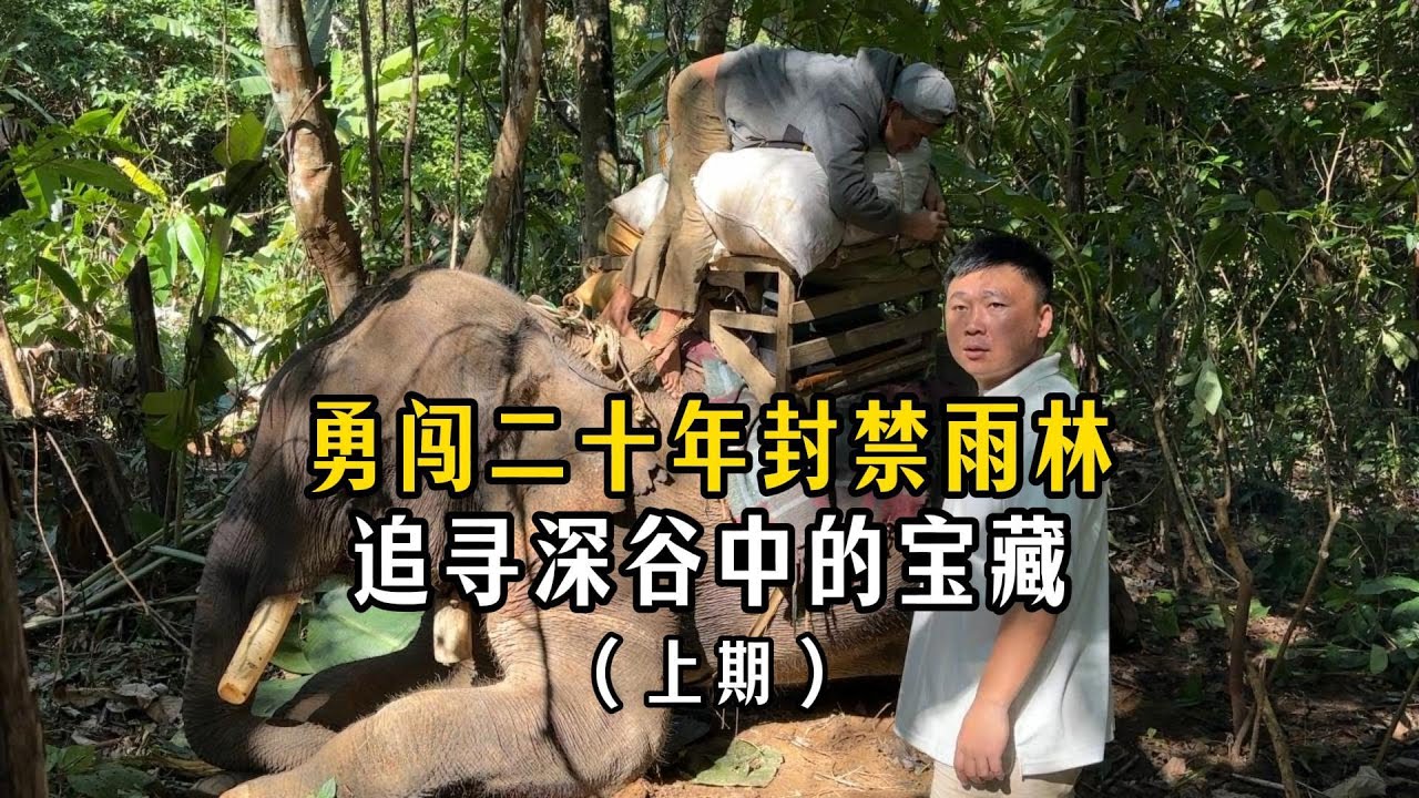 勇闯二十年封禁雨林，追寻深谷中的宝藏（上期）