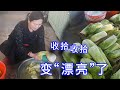 【胖嫂show】人靠衣服马靠鞍，菜靠啥？靠收拾，胖嫂一通收拾，酸菜变“漂亮”了