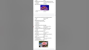 ਸੀ ਈ ਪੀ ਦੀ ਚੌਥੀ ਸ਼ੀਟ ਦਾ ਹੱਲ ਜਮਾਤ ਛੇਵੀਂ