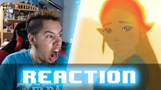 BREATH OF THE WILD RELEASE DATE TRAILER REACTION!