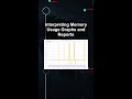 Interpreting Memory Usage Graphs and Reports #ai #artificialintelligence #machinelearning #aiagent
