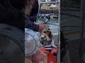 Scaredy-Dog  #harmonica #busking #helpmemakethismakesense