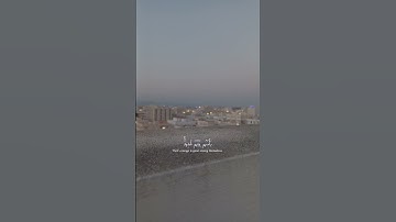 آيات من سورة الحشر | تلاوة #هيثم_الدخين 🍃