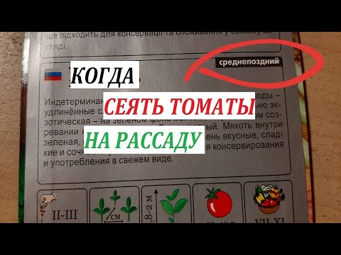 КОГДА СЕЯТЬ ТОМАТЫ на рассаду в 2020 году? Как правильно рассчитать сроки посева?