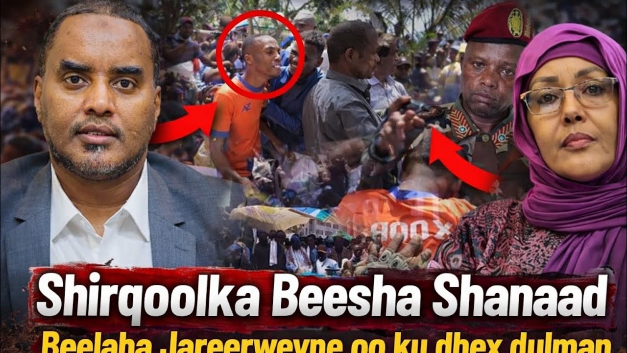 Dhagar Aan lagu Baraarugin Beelaha Jareerweyne Oo Beesha Shanaad Ku dulman