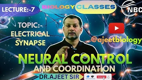 #synapse, #electrical synapse, neural control and coordination one shot for neet 
