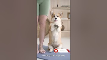 Smart Fabrics: The Future of Fashion | Futuregene