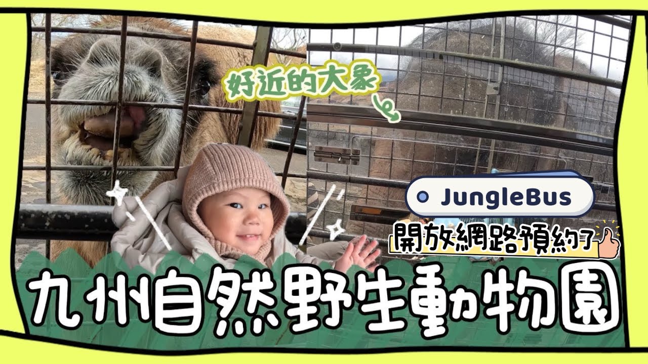 【日本】超人氣九州自然動物園～近距離觀察動物～超喜歡💕叢林巴士JungleBus開放線上預約了💕