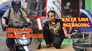 TANTANGAN DITERIMA - jauh2 ngajak T4rung || yang bagong dikasihin