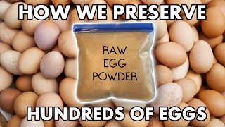 This Is How We Preserve Hundreds Of Eggs For Long Term Storage