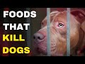 Foods that will kill your american bully xl