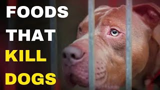 Foods That Kill Dogs | American Bully XL