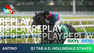 Antino DESTROYS them in the TAB A.D. Hollindale Stakes | 10 May 2025