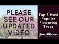 Older  top 5 most popular flowering trees  naturehillscom