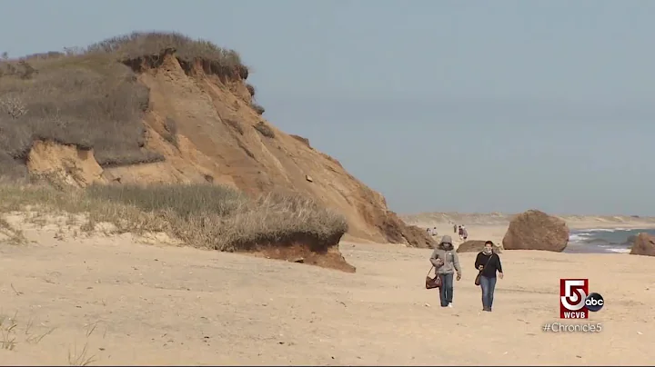 Enjoy the beauty of Springtime on Martha's Vineyard