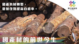 國產木材轉型，從禁伐到提高自給率。｜獨立特派員 第727集 (國產材的前世今生)