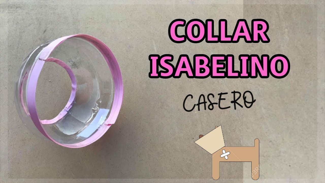 referir Minero Descuidado Collar Isabelino casero para gatos o perros 🐈🐕| Fácil - YouTube