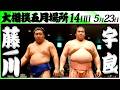 大相撲　藤ノ川ー宇良＜令和８年五月場所・１４日目＞SUMO