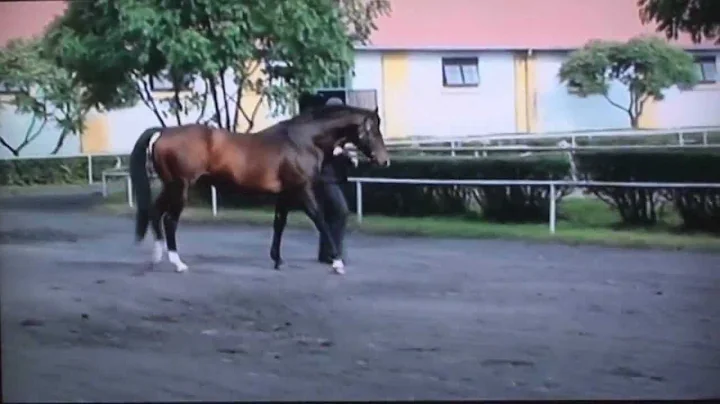 Special Power (Lyphard's Special -- Angevin) 1987