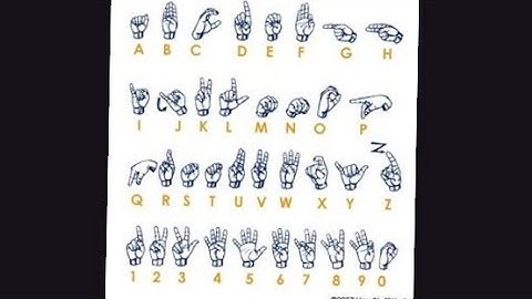 A.i. Sign Language Software Idea 2024