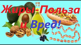 Опасные и полезные жиры!