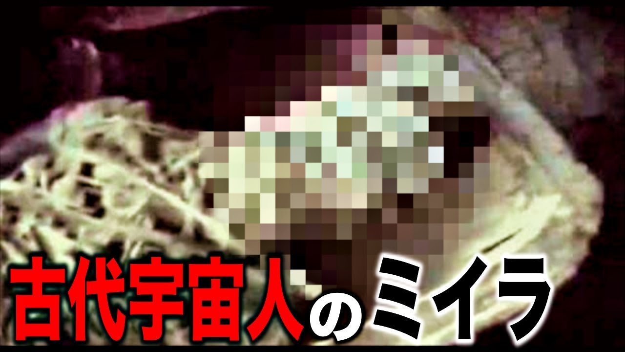 オーロラティーガーデンミステリー コンをコンする方法 21 スター プレミア 日付 時間 どこで見るか