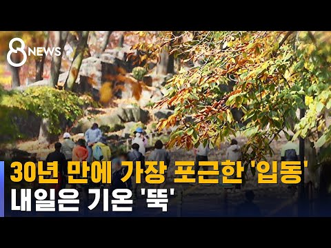 30년 만에 가장 포근한 '입동'…내일은 기온 '뚝' / SBS