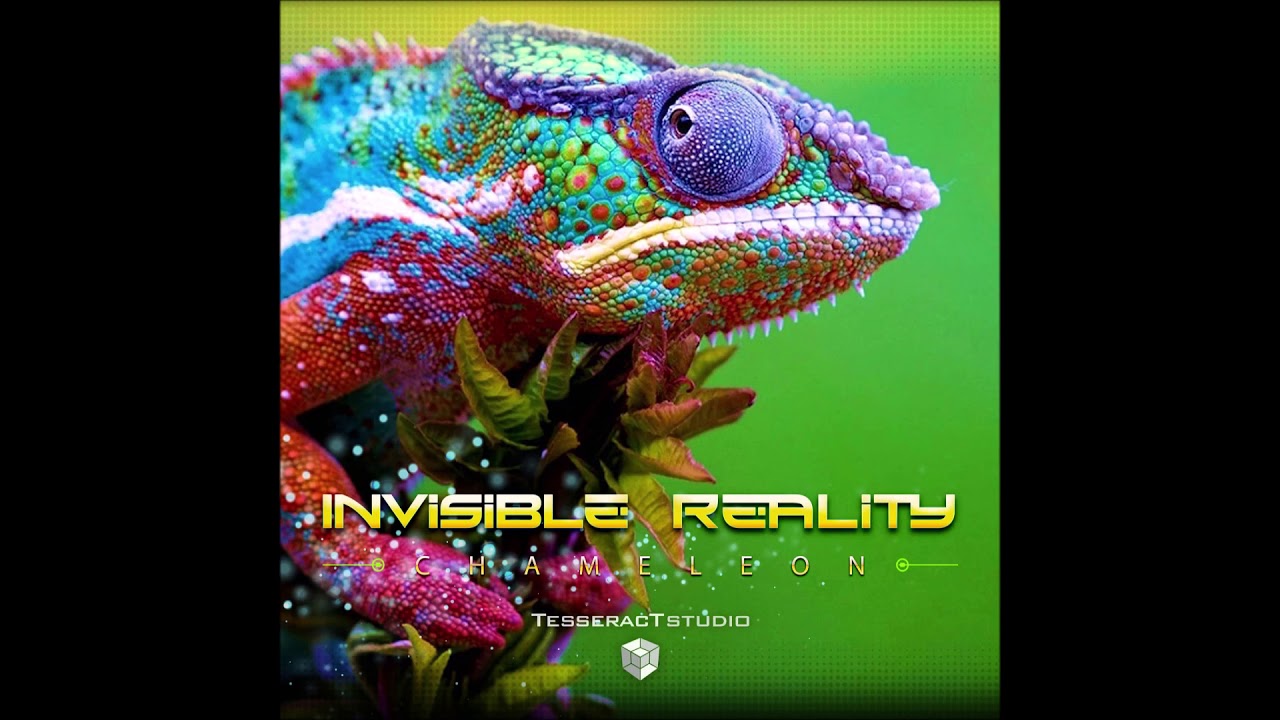 Watch Invisible reality - Chameleon on YouTube Watch Invisible reality - Chameleon on YouTube