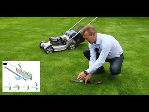 CYLINDER (Reel) V ROTARY Lawnmowers - Which mower is right for you? (4K)