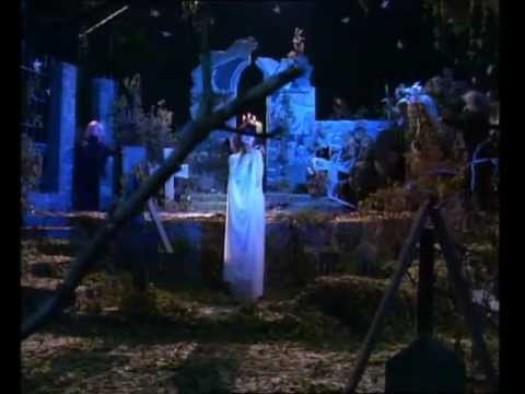 Таисия Повалий - Телешоу
