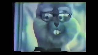 Willy Wabbit - Creative Engineering - 4K 60Fps