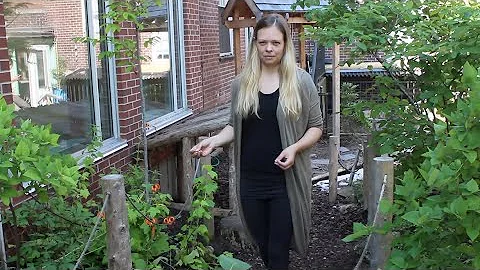 The Outdoor Classroom at Dr. Eric Jackman Institut...