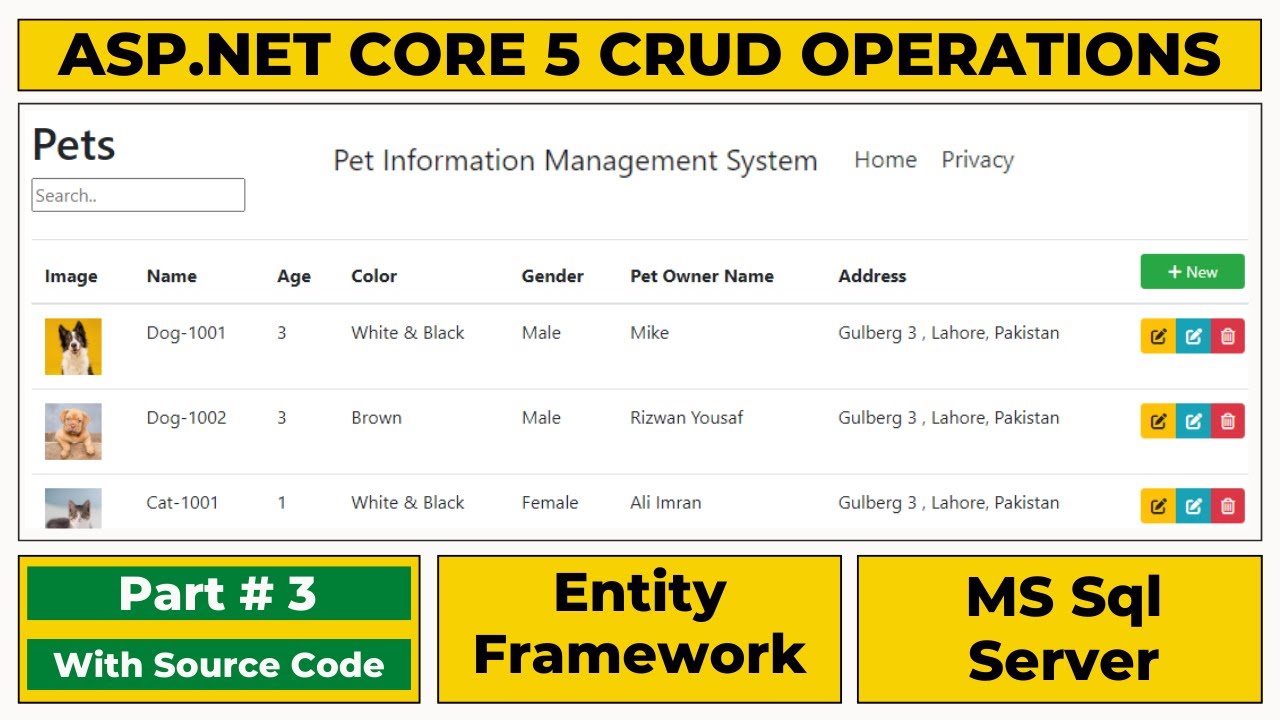 ASP .NET CORE MVC CRUD OPERATION WITH ENTITY FRAMEWORK CORE STEP BY ...