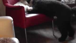 Download Lagu Spelen 070714 2 MP3 Download Lagu Spelen 070714 2 MP3