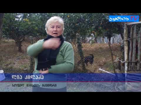 გურიის ახალი ამბები – გარე განათების მოწესრიგების მოთხოვნა მამათში – ჩემი თემი, ჩემი სოფელი, ჩემი არ