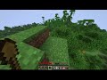 Our Best Life in Minecraft Hardcore! Ft. Timallen1337!