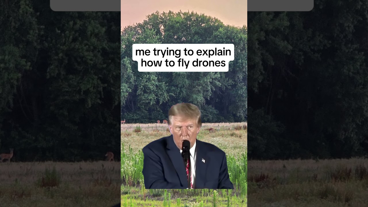 Полет дрона будет похож на... 