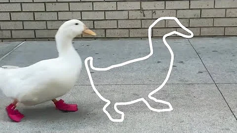 Outline Trend & How To Do It (running duck viral tiktok trend & editing tutorial)