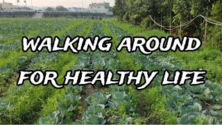 Walking around for healthy life #satisfying #walking #walkthrough #exercise #healthylifestyle