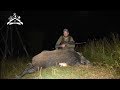 E55 Tragom divljih svinja/ Wildboar hunt (Barnes TTSX)