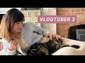 vlogtober 2021 | day 2 | charity shop haul + family time