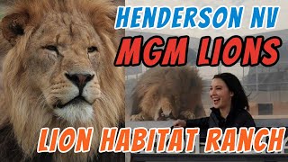 Henderson NV | Lion Habitat Ranch | Things to Do in Las Vegas | 4k Walking Tour