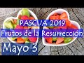 Frutos de la resurrección padre Dario Betancourt encuentro may 4