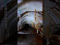 知る人ぞ知る秘境の鉄道? #shorts