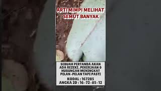 Arti mimpi semut #maknamimpi #artimimpi #tafsirmimpi #primbonjawa #videoviral #fyp #shorts #viral