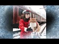 Грустная песня о коте Твиксе, которого выбросили из вагона и он замерз на морозе