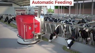 Lely Vector - Improve the feeding kitchen in farming via innovation and technology - Animation - EN