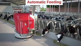 Lely Vector - Improve the feeding kitchen in farming via innovation and technology - Animation (EN)