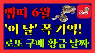 6월 뱀띠 대박! 로또 사기 딱 좋은 날, 놓치지 마세요. #기사생#정사생#을사생#계사생#신사생#1989년생…