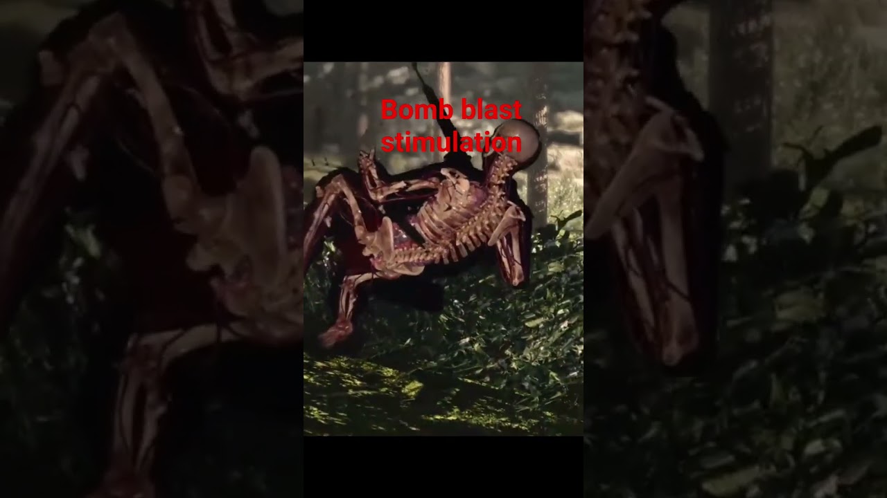 செத்தாலும் பாம் வெடிச்சு சாக கூடாது 